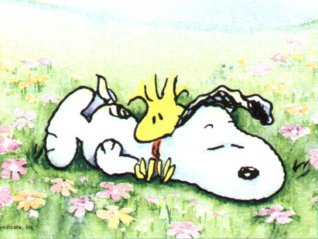 Snoopy wallpaper cartoon