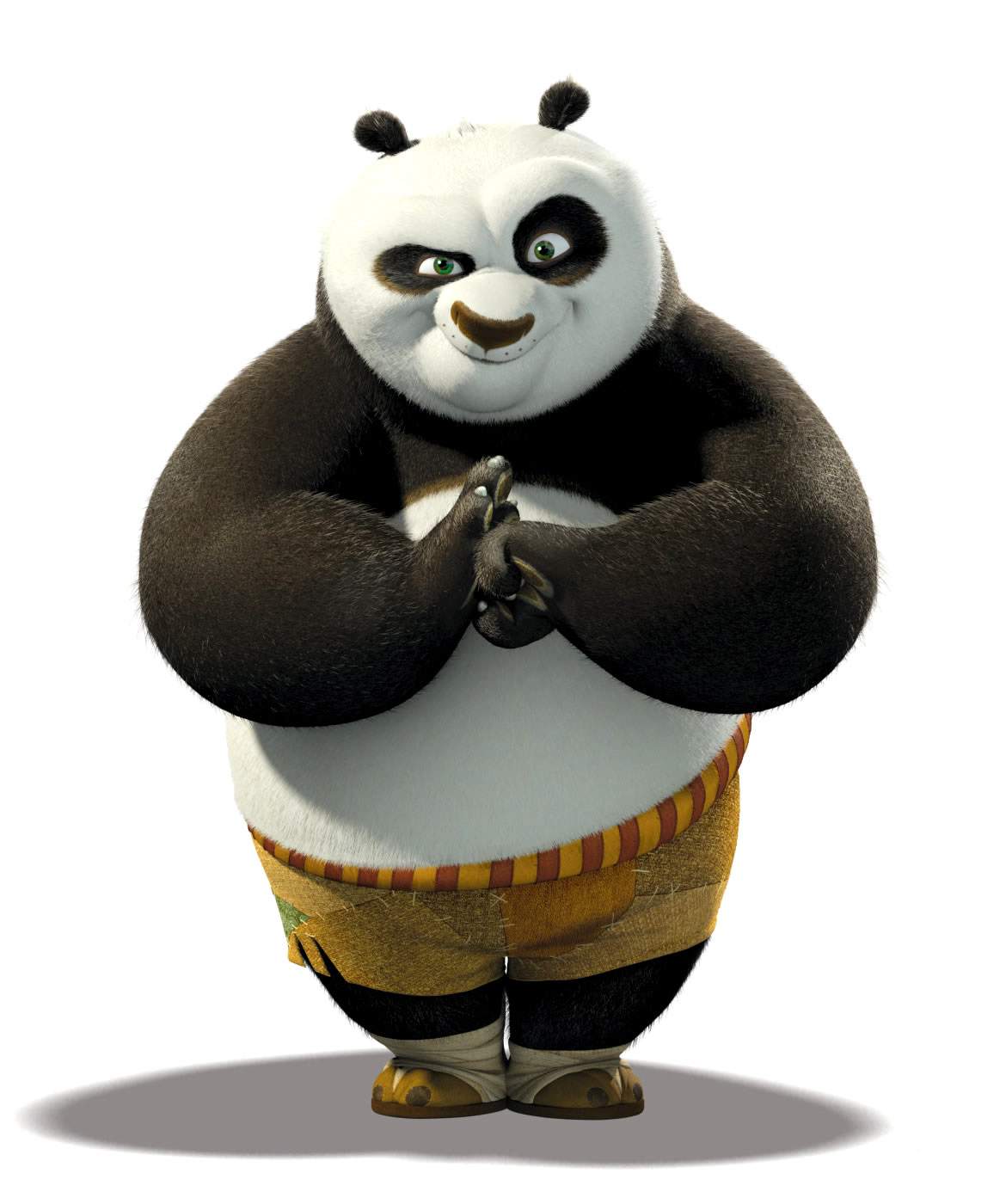 The kung fu panda image cover