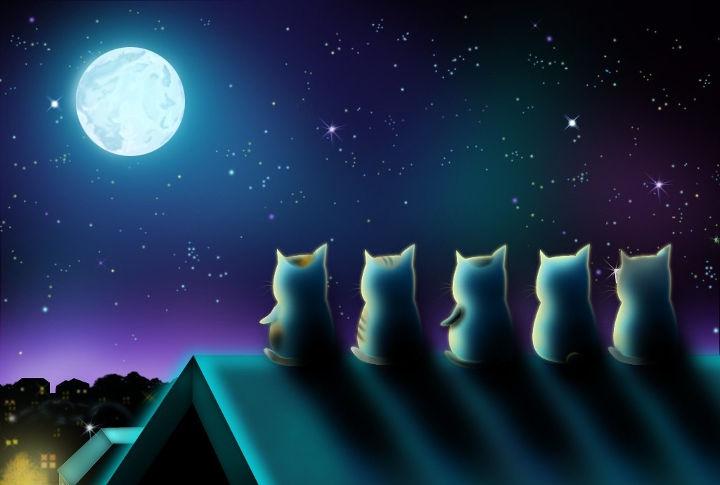 Cartoon Cat hd moon