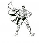 superman coloring free