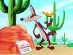 wile coyote fast and furryous