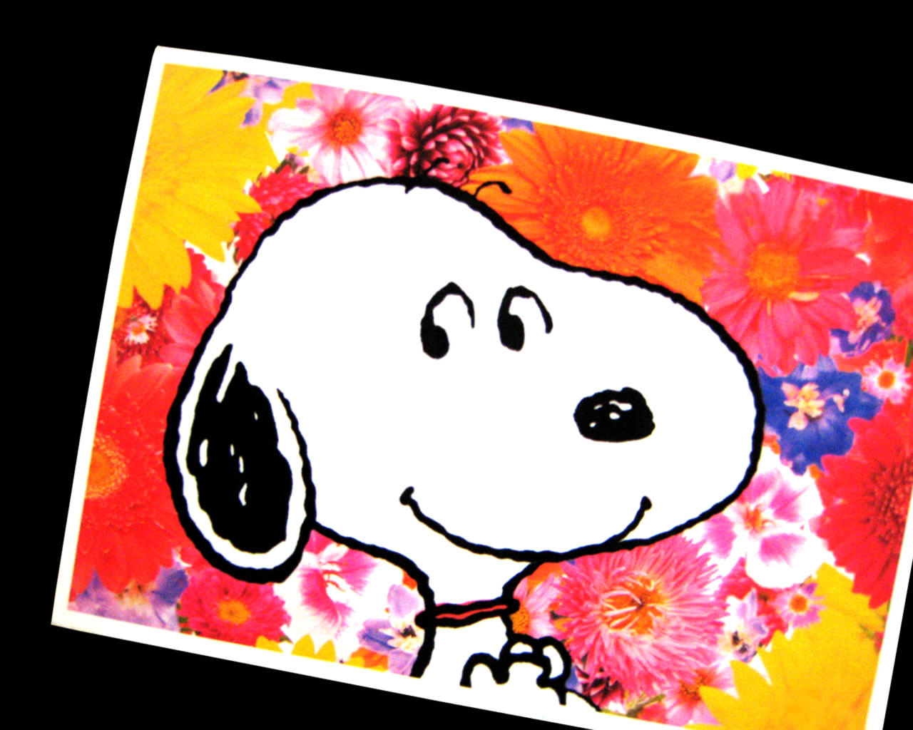 snoopy sweet