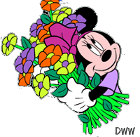 minnie Mouse flowers