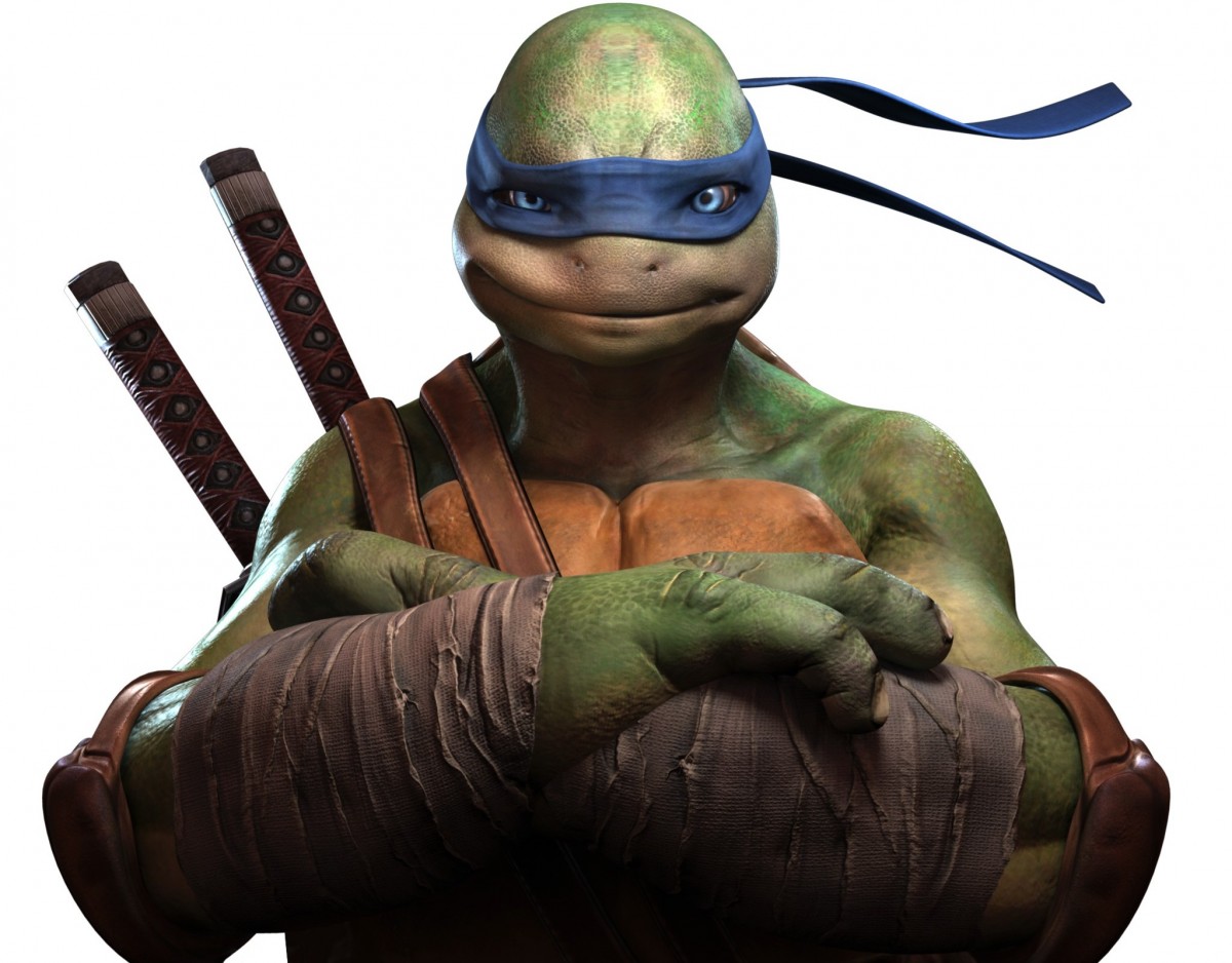 ninja turtles leonardo