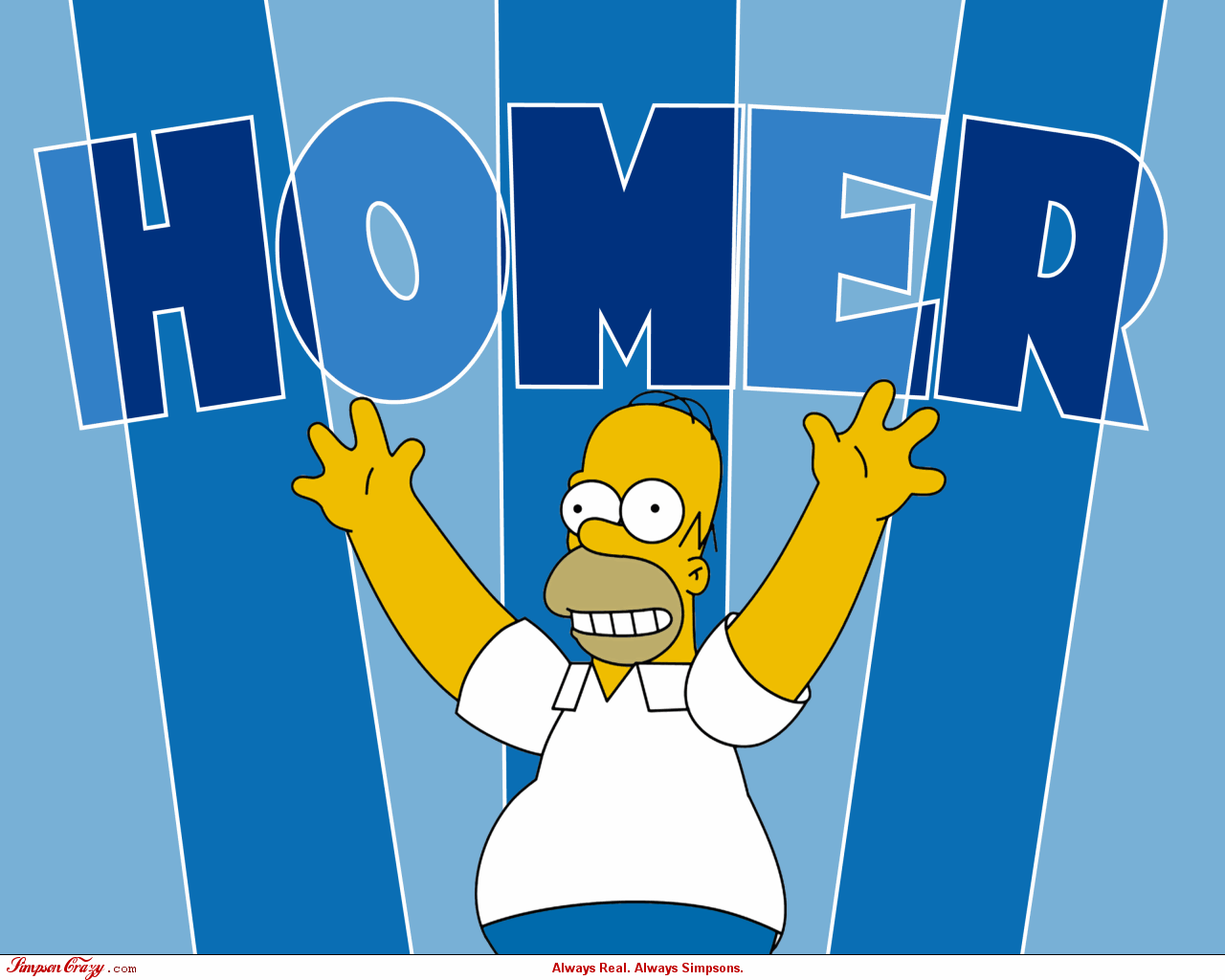 Homer simpson