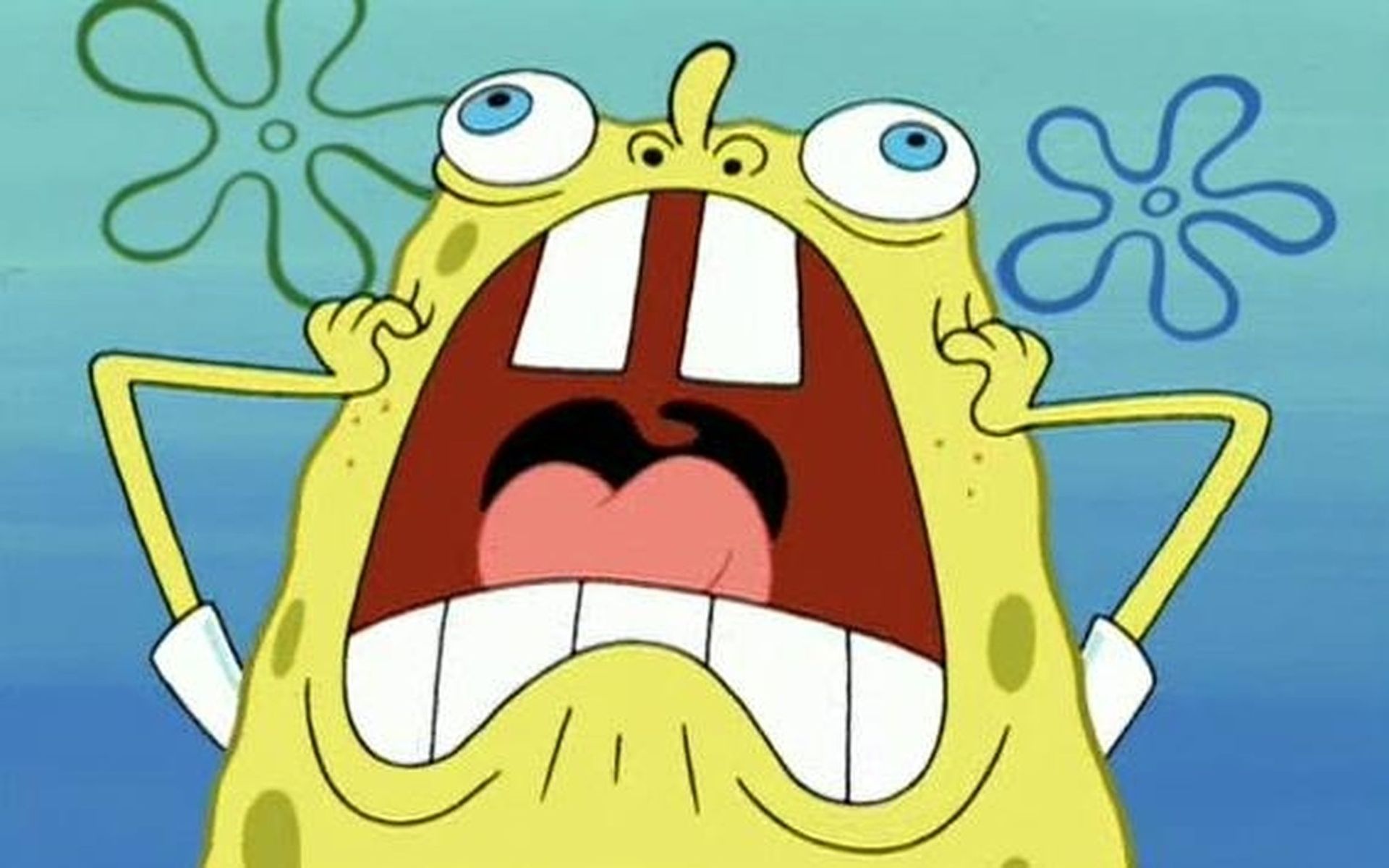 spongebob squarepants cry hd cartoon wallpapers