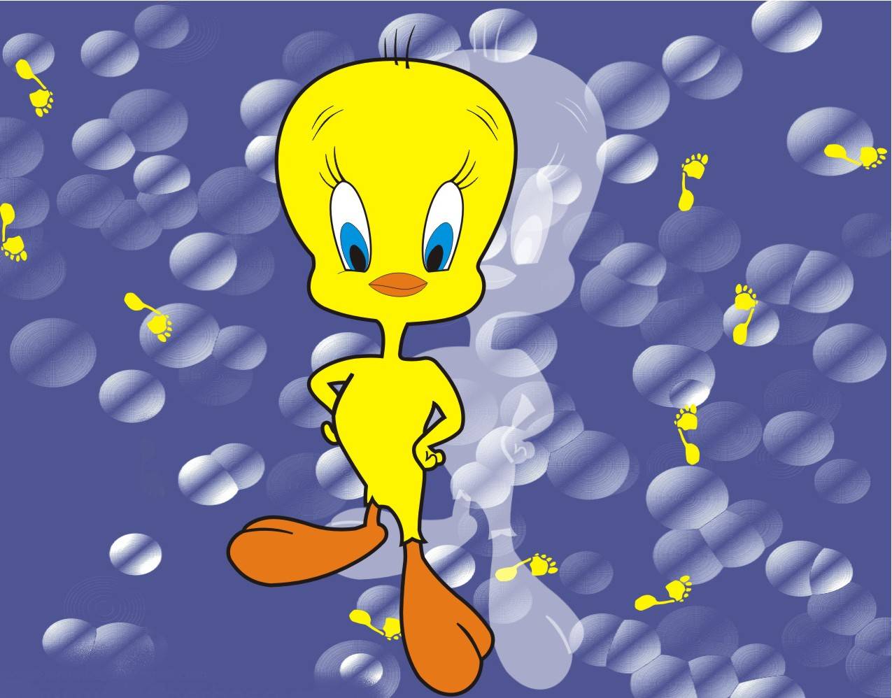 Tweety cartoon wallpapers desktop funny strange