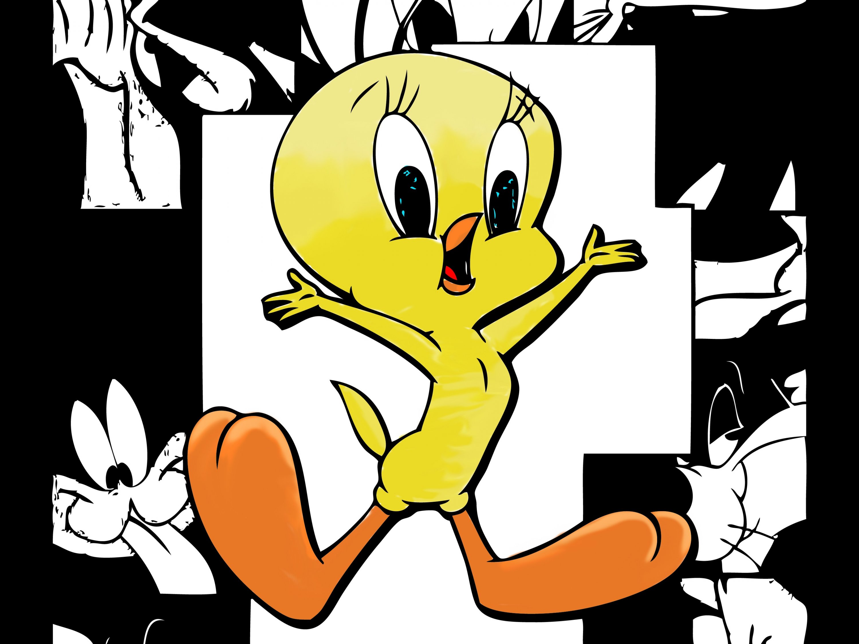 Tweety cartoon wonderful