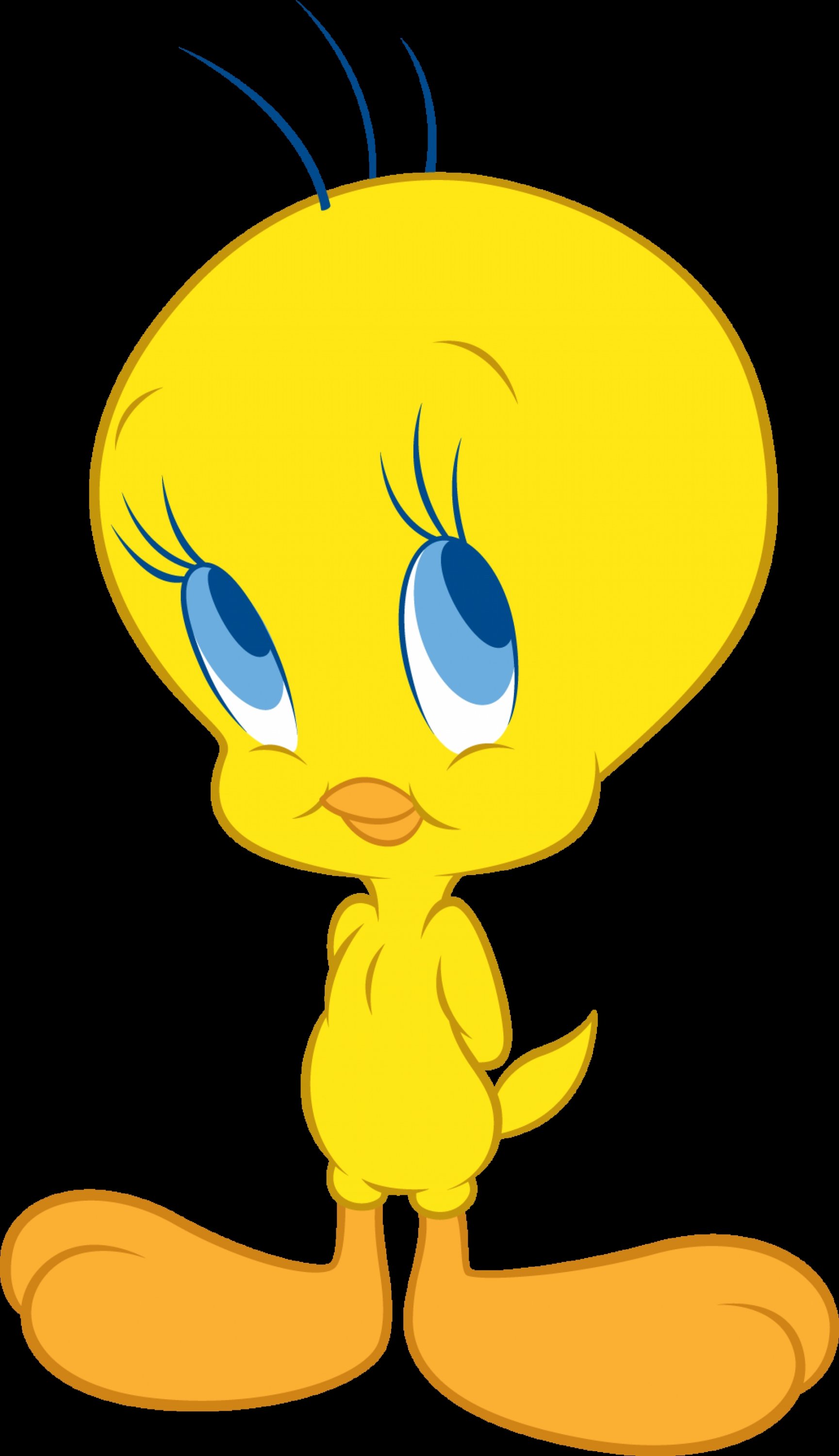 tweety beauty