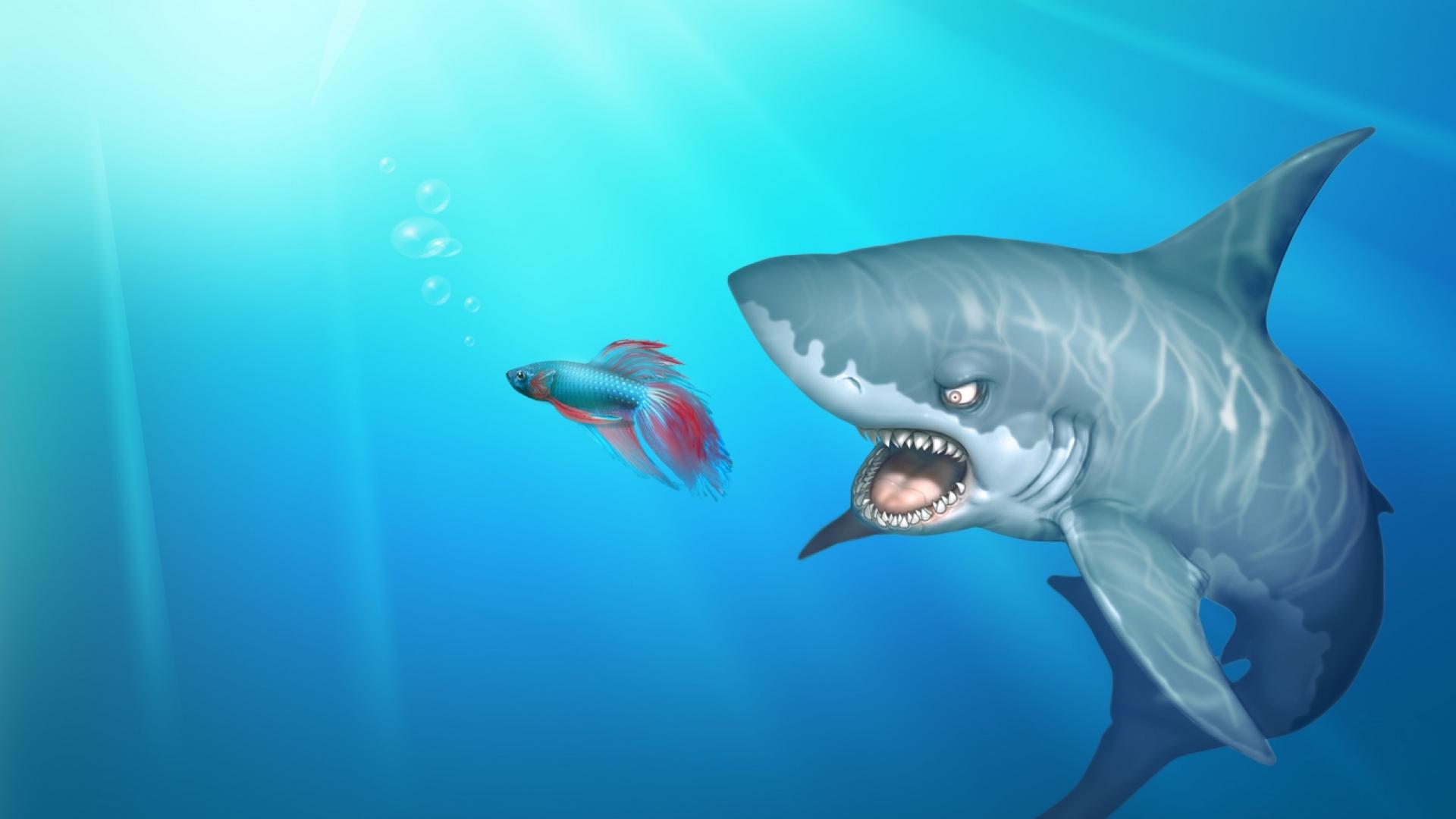 cartoon fish wallpaper desktop