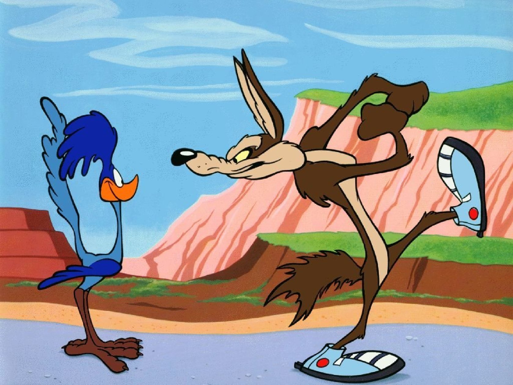 road runner cute