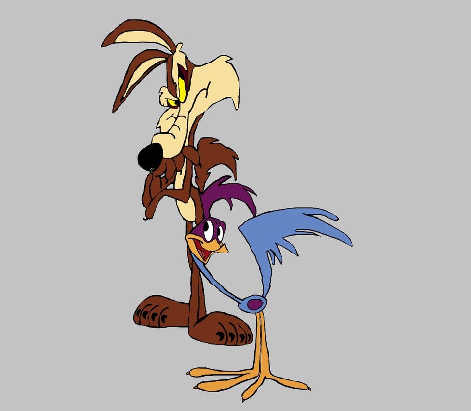 roadrunner and coyote