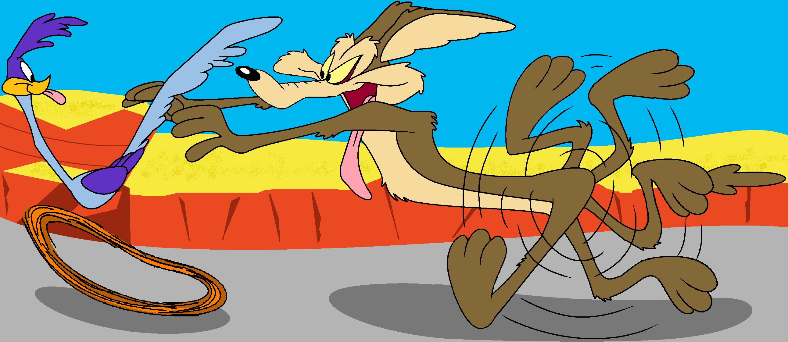 roadrunner coyote wallpaper