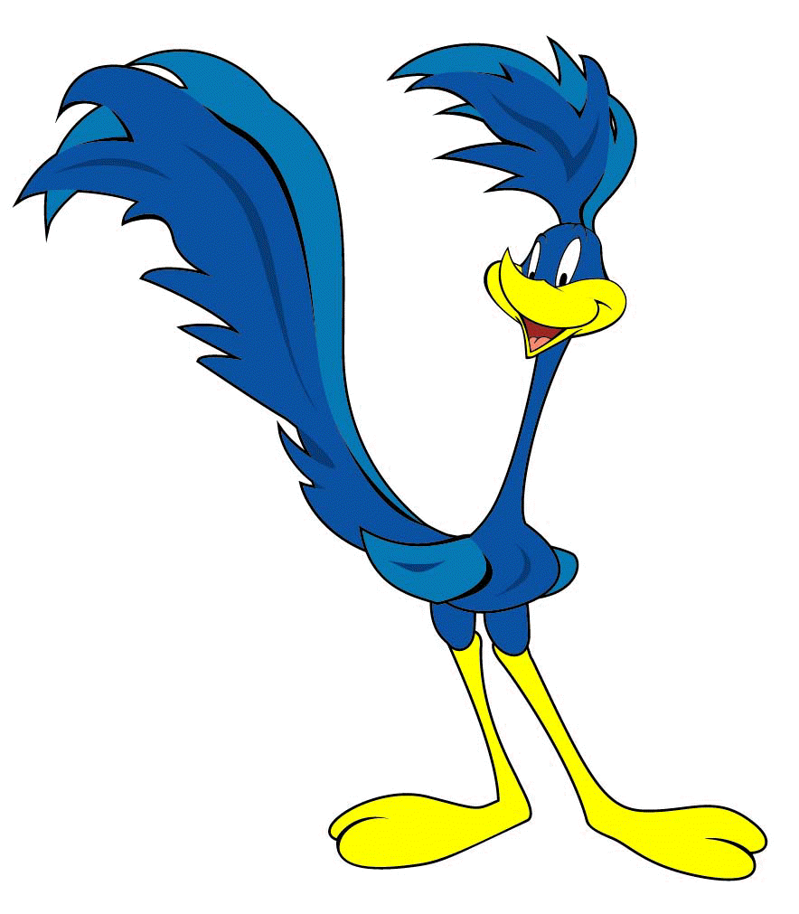 roadrunner wallpaper