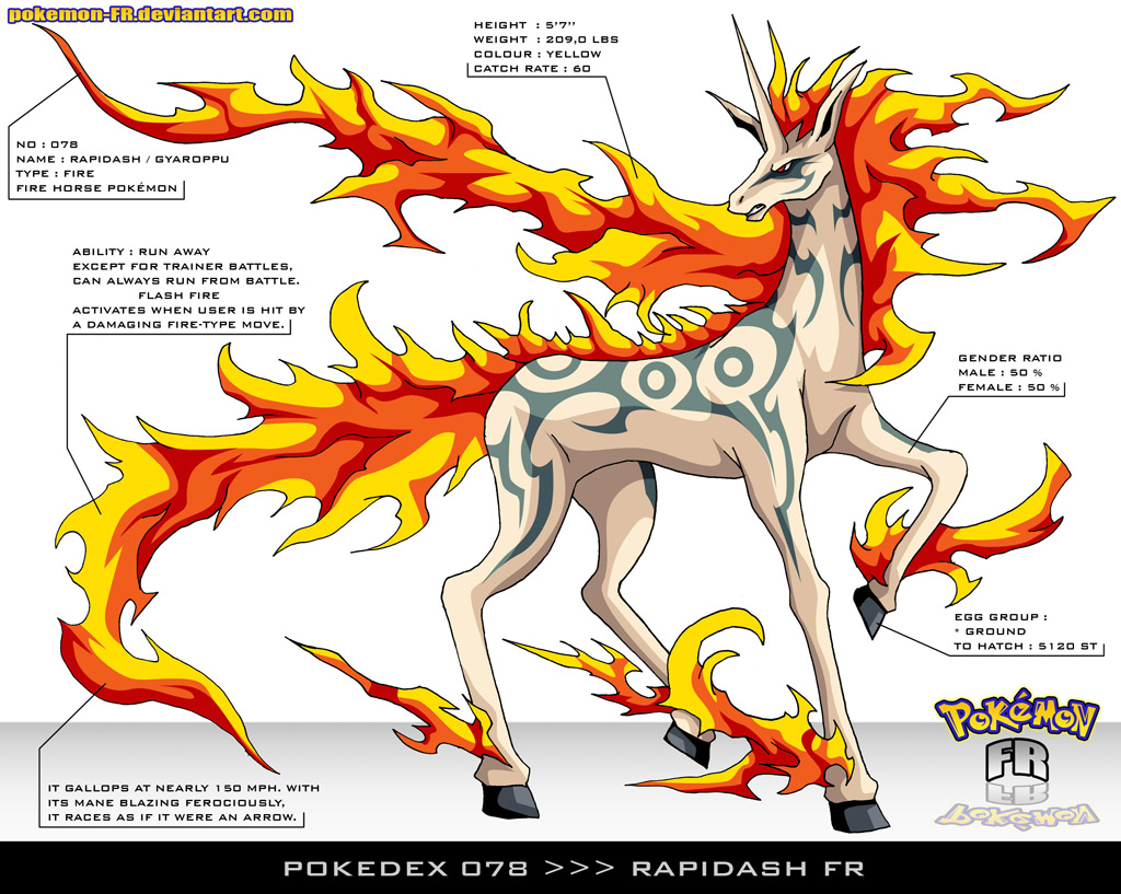 pokedex rapidash