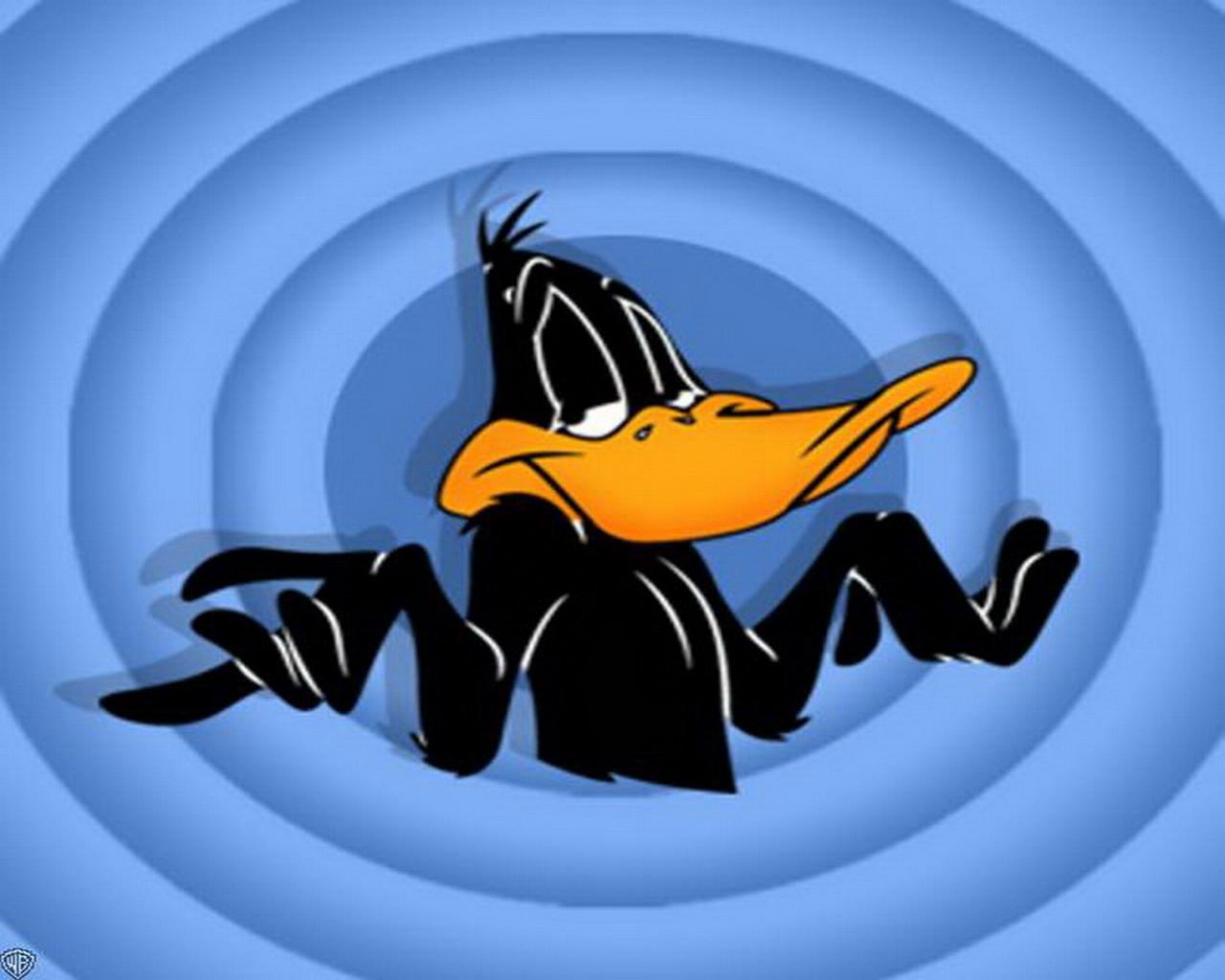 looney tunes daffy duck