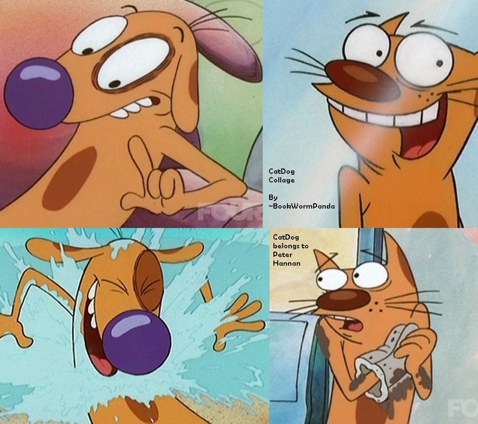 cartoon catdog collage