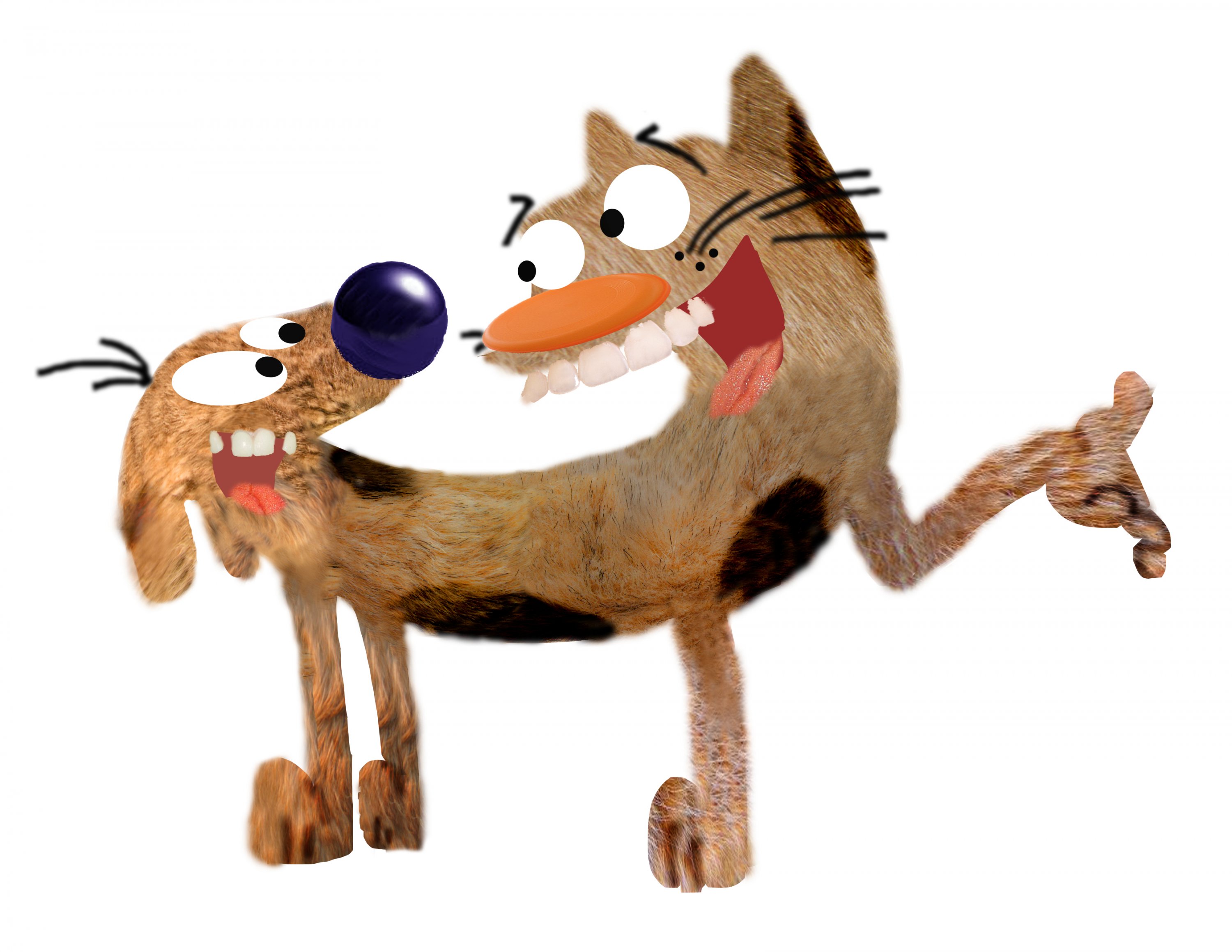 catdog