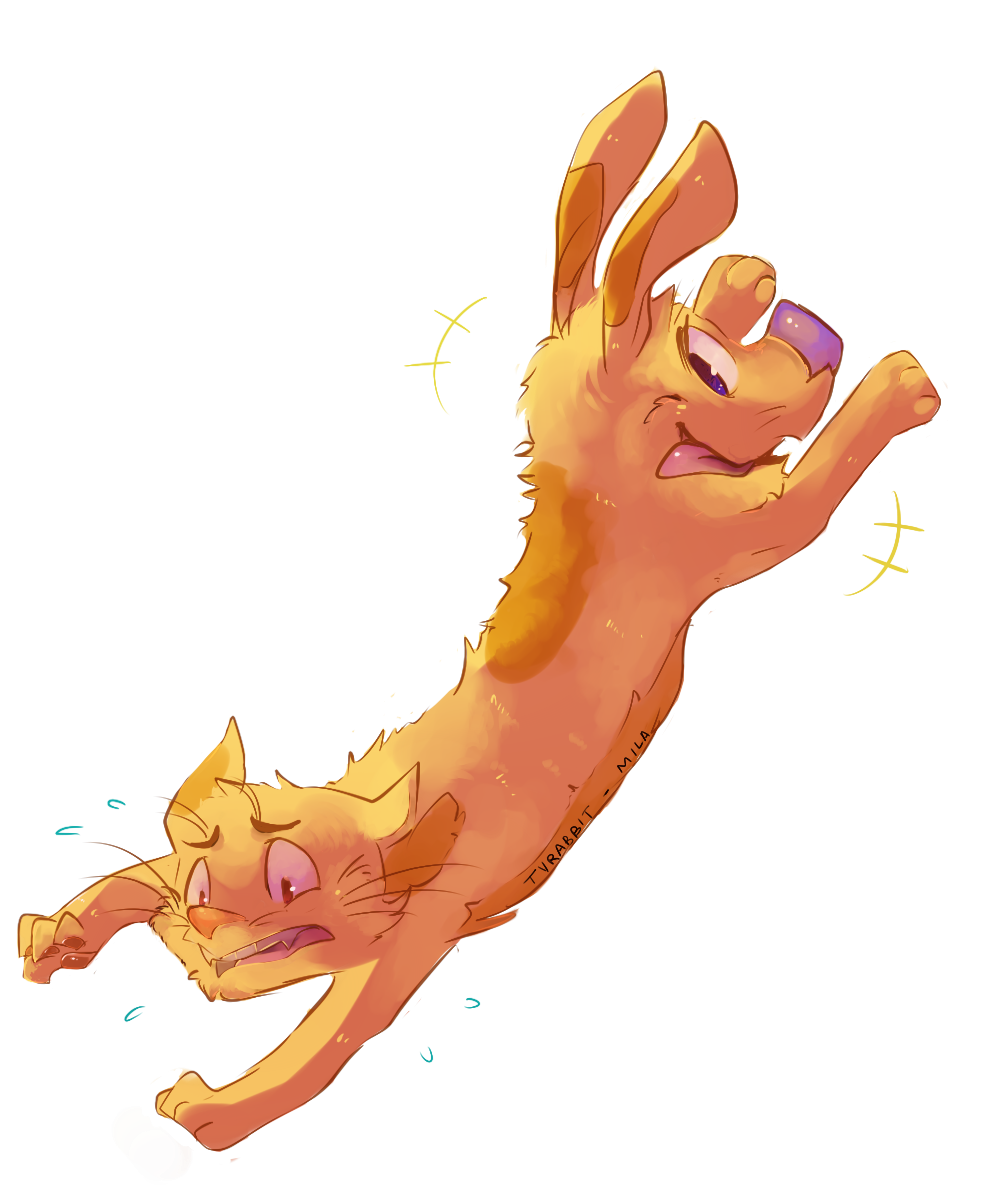 catdog run