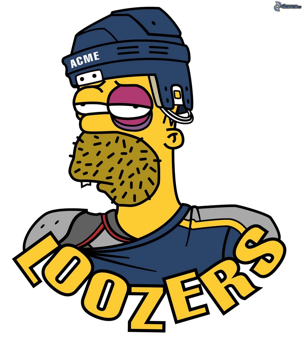 homer simpson loozers