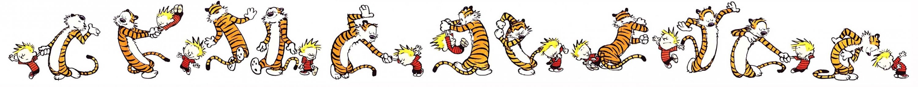 Calvin and Hobbes all cover