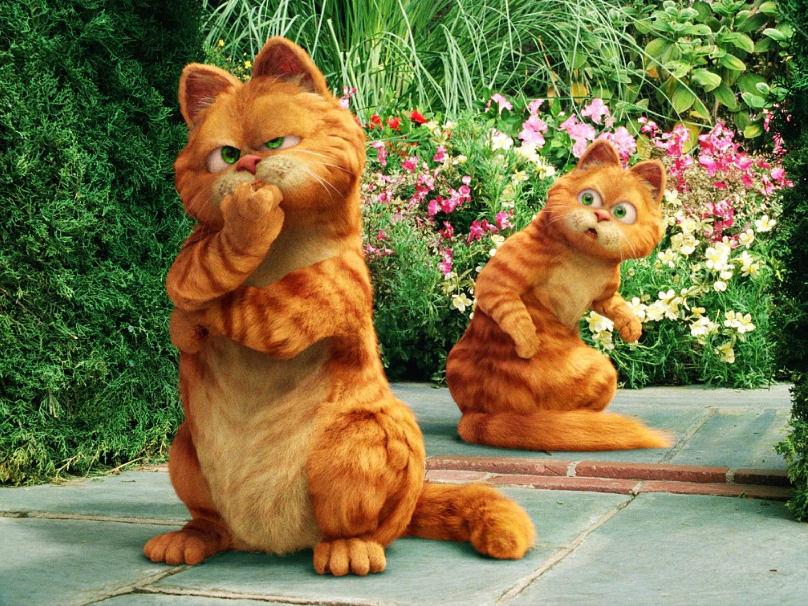 Funny Garfield Wallpaper HD