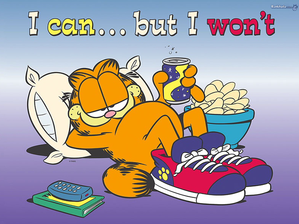 garfield shoe