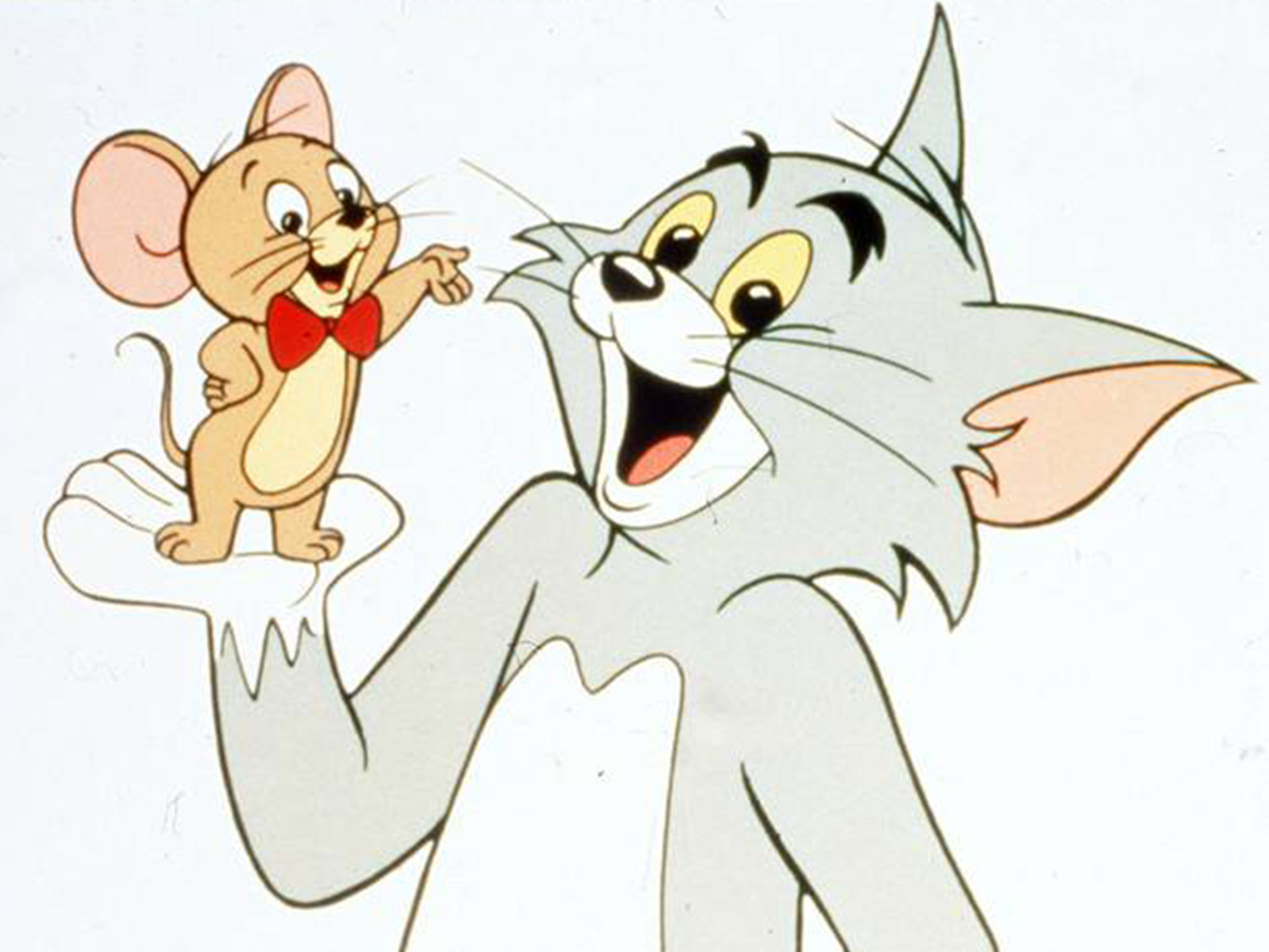 tom e jerry cartoon