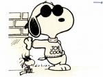 snoopy joe cool