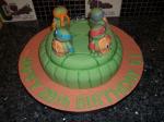 Teenage Mutant Ninja Turtle Cake