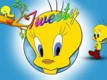 Tweety Bird Wallpaper hd cover