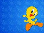 Wallpaper tweety bird