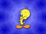 tweety bird wallpapers