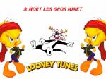 tweety wallpaper looney tunes hd