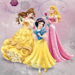 Disney Princess cover