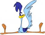 Roadrunner jim