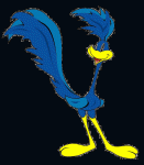 roadrunner wallpaper