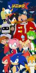 sonic x poster