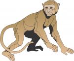 cartoon monkey strong