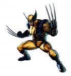 wolverine cartoon