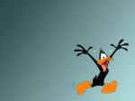 Daffy Duck full hd cover