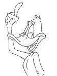 daffy duck coloring pages