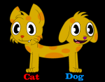 catdog sweety cover