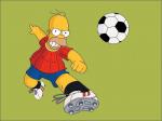 homer simpson ball cover