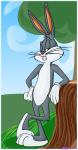 draw bugs bunny