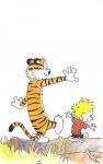 Calvin and Hobbes cover