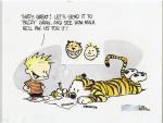 calvin hobbes original