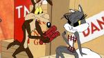 Wile Coyote Looney Free Photos