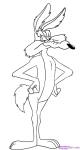 draw wile coyote